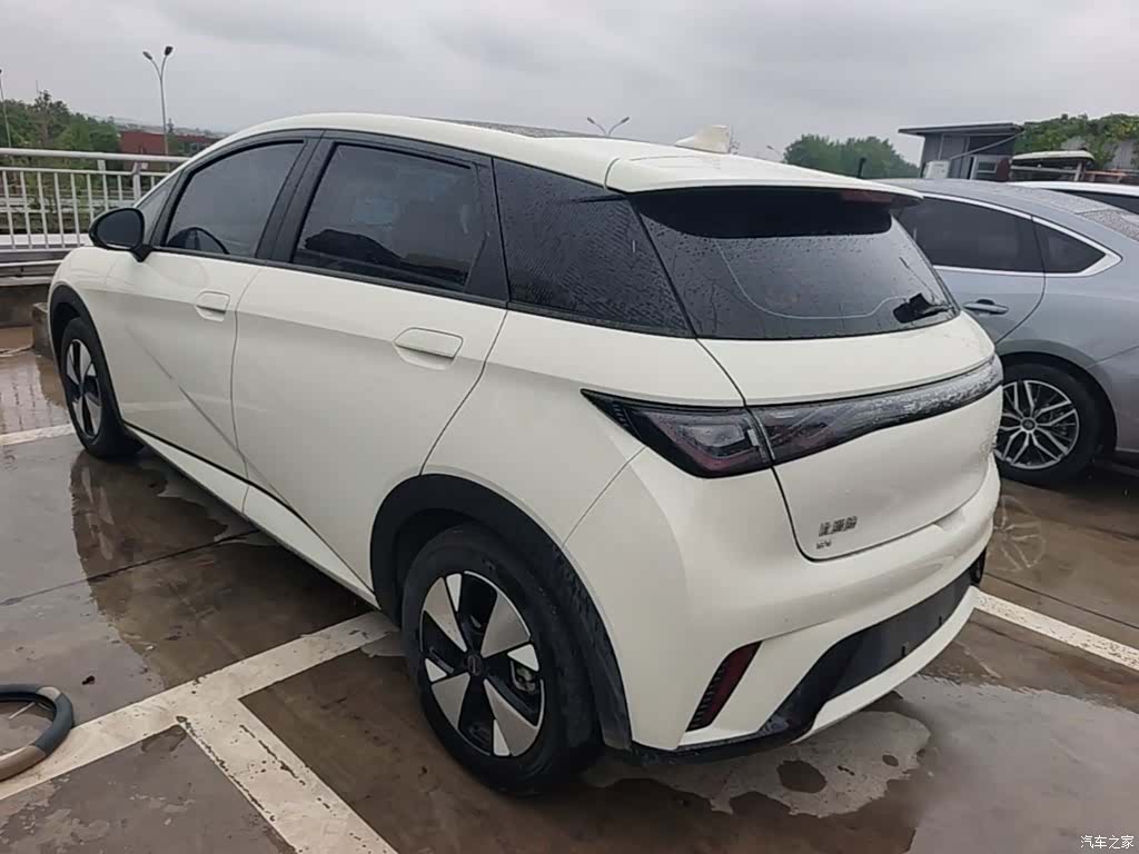 BYD Dolphin, 2023 все фото