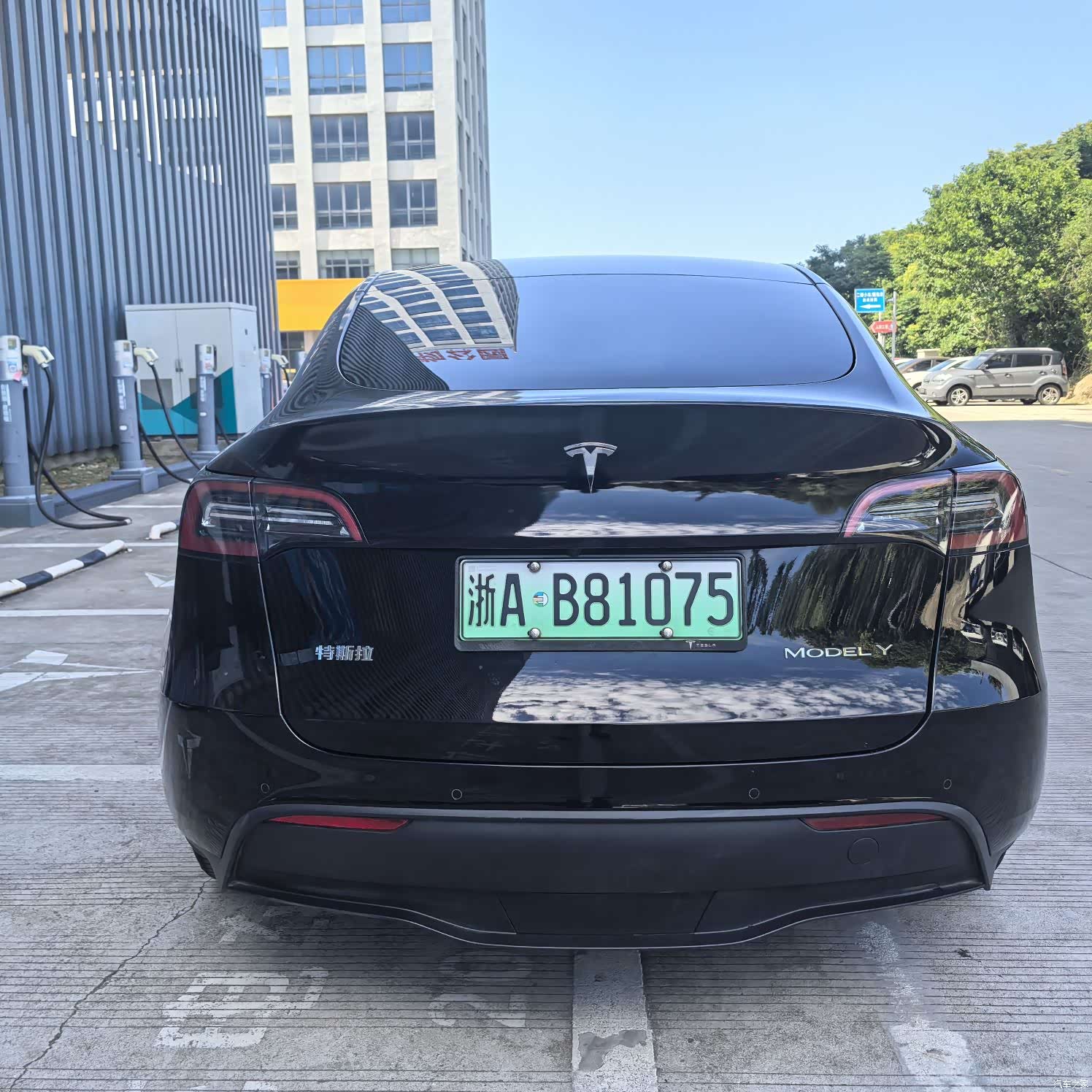 Tesla Model Y, 2023 все фото