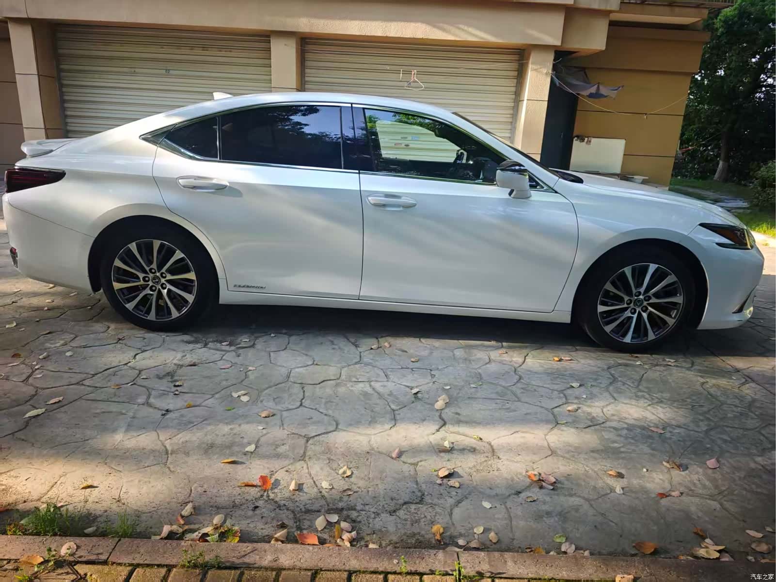 Lexus ES, 2021 8