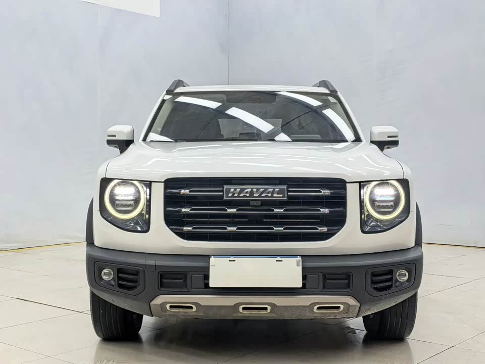 Haval Big dog