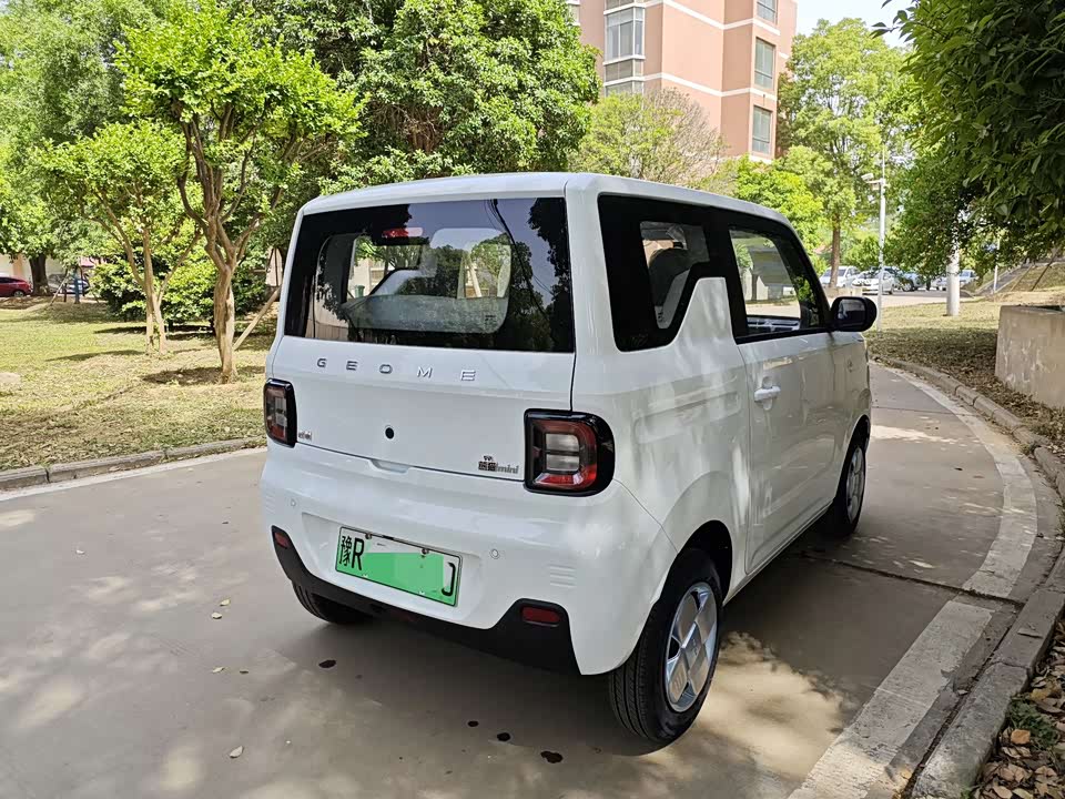 Geely Galaxy panda