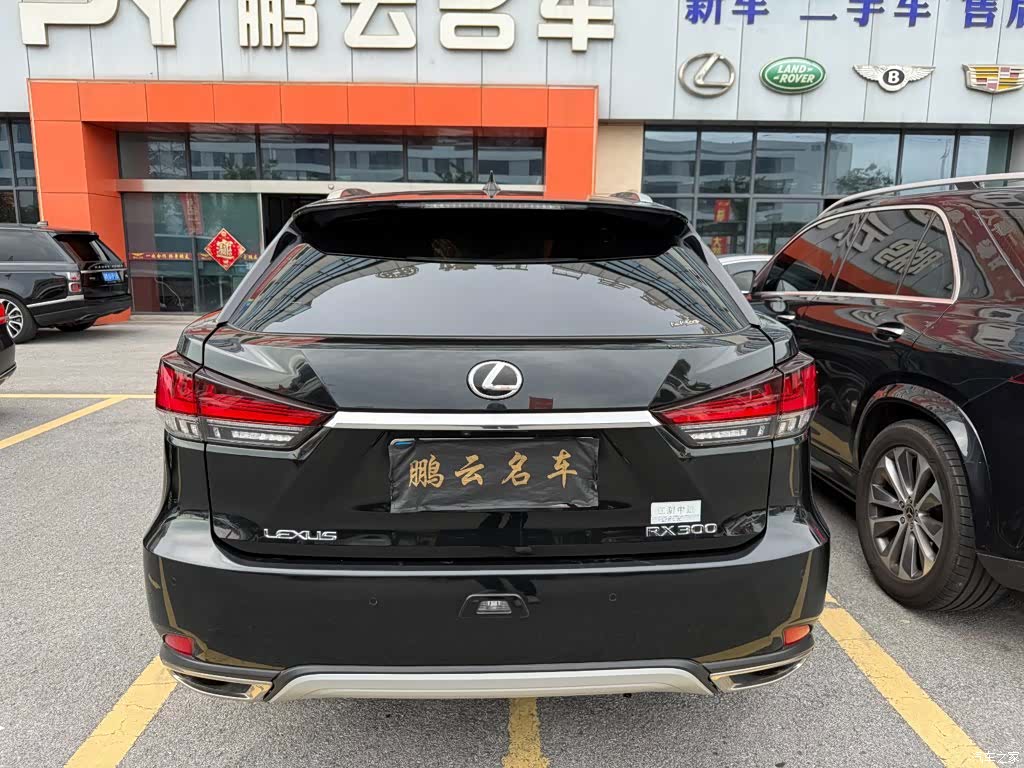 Lexus RX, 2019 7
