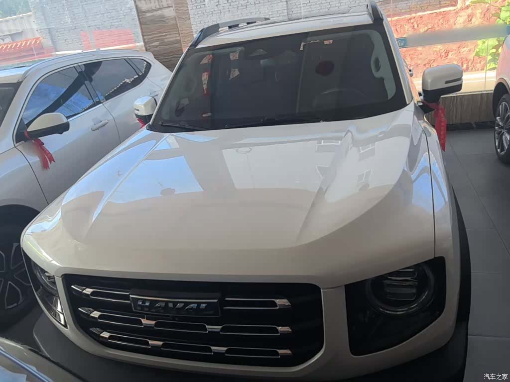 Haval Big Dog, 2021 3
