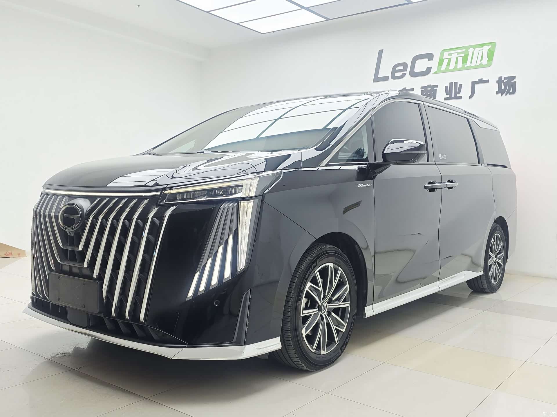 Trumpchi M8, 2023 1