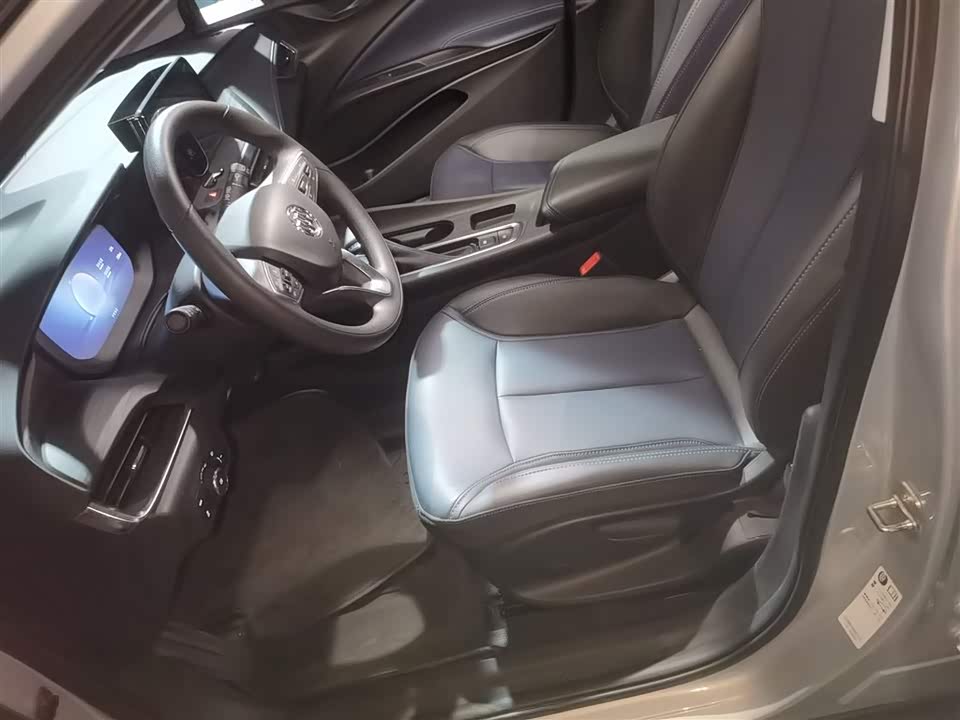 Buick Slightly blue 6