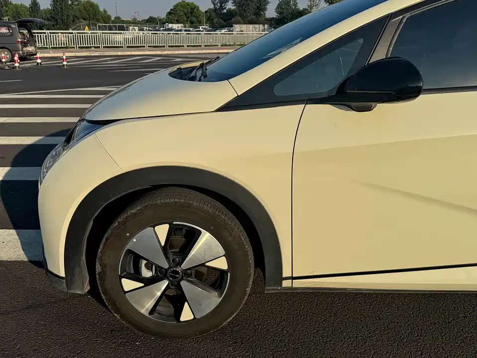 BYD dolphin BYD dolphin