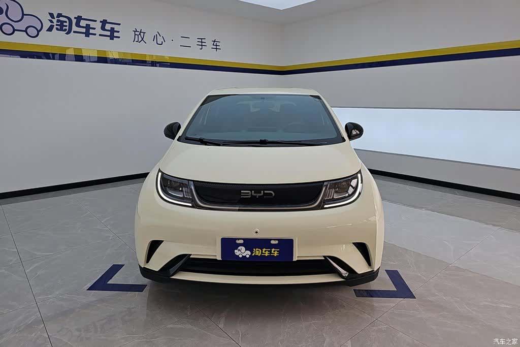 BYD Dolphin, 2024 2