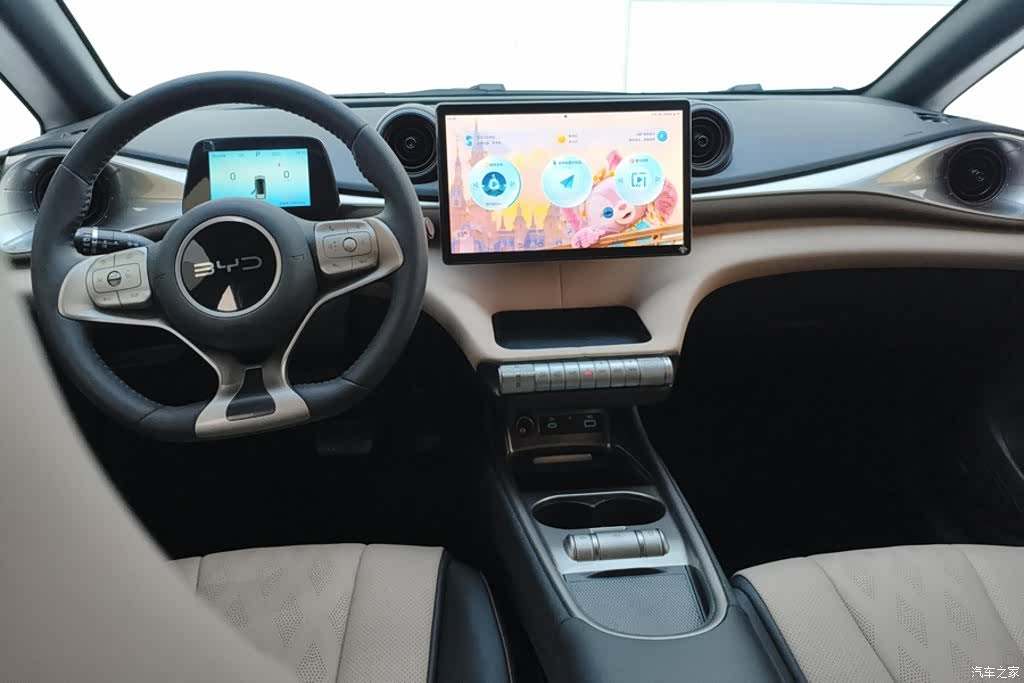BYD Dolphin, 2024 12