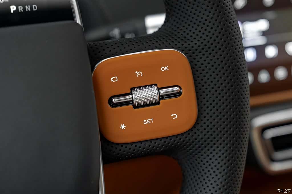 Li Auto L9, 2023 10
