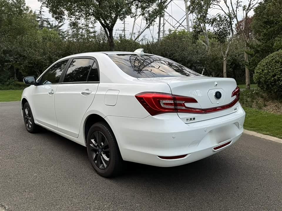 BYD Qinxin Energy