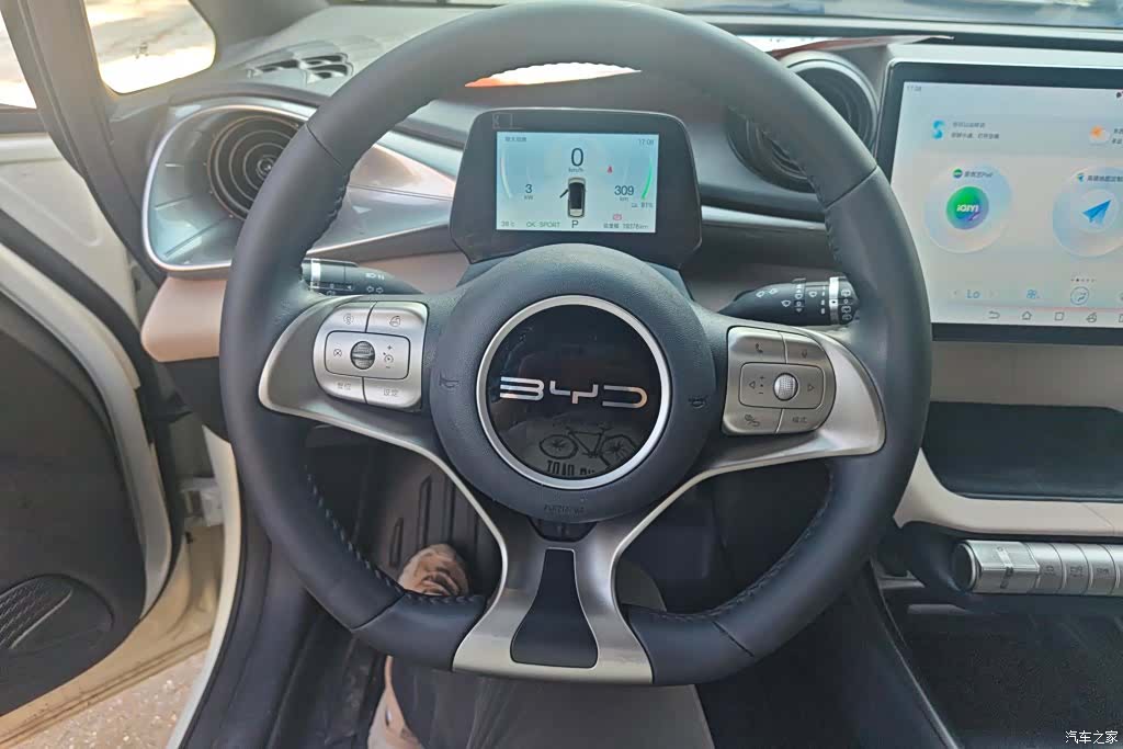 BYD Dolphin, 2024 15