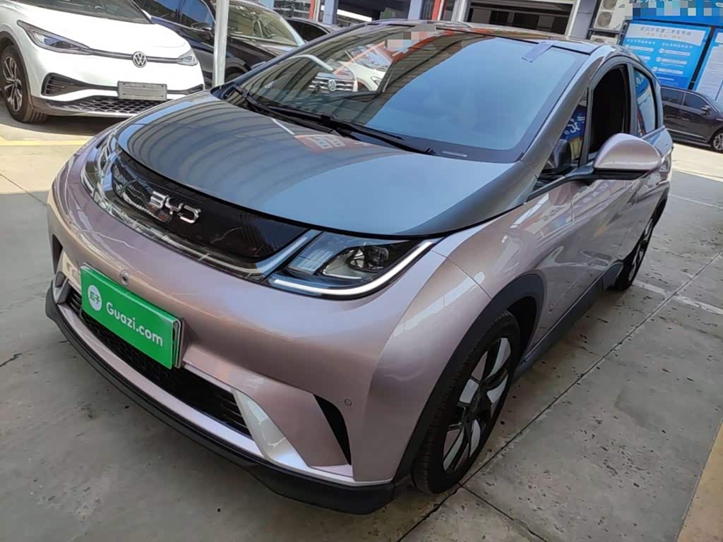 BYD Dolphin