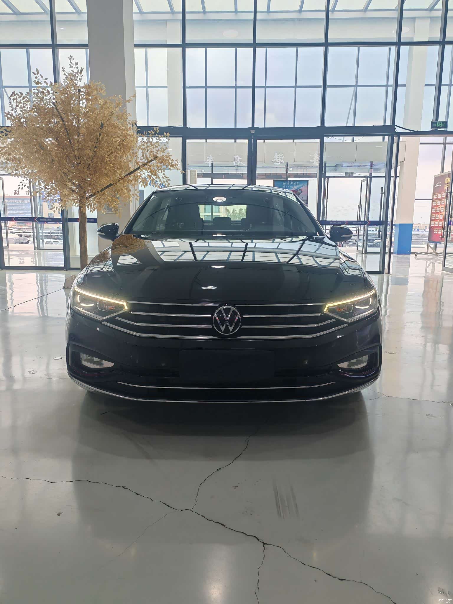 Volkswagen Magotan, 2021 2