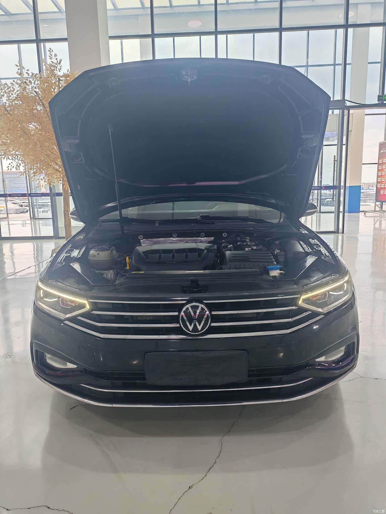 Volkswagen Magotan, 2021 19