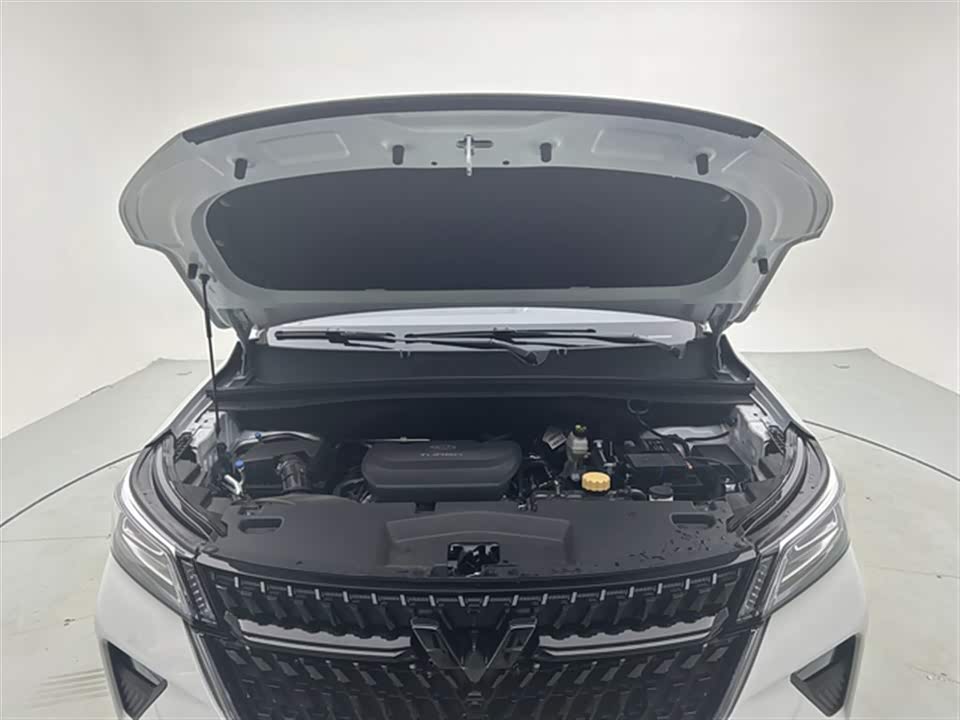 Wuling Wuling Xingchen