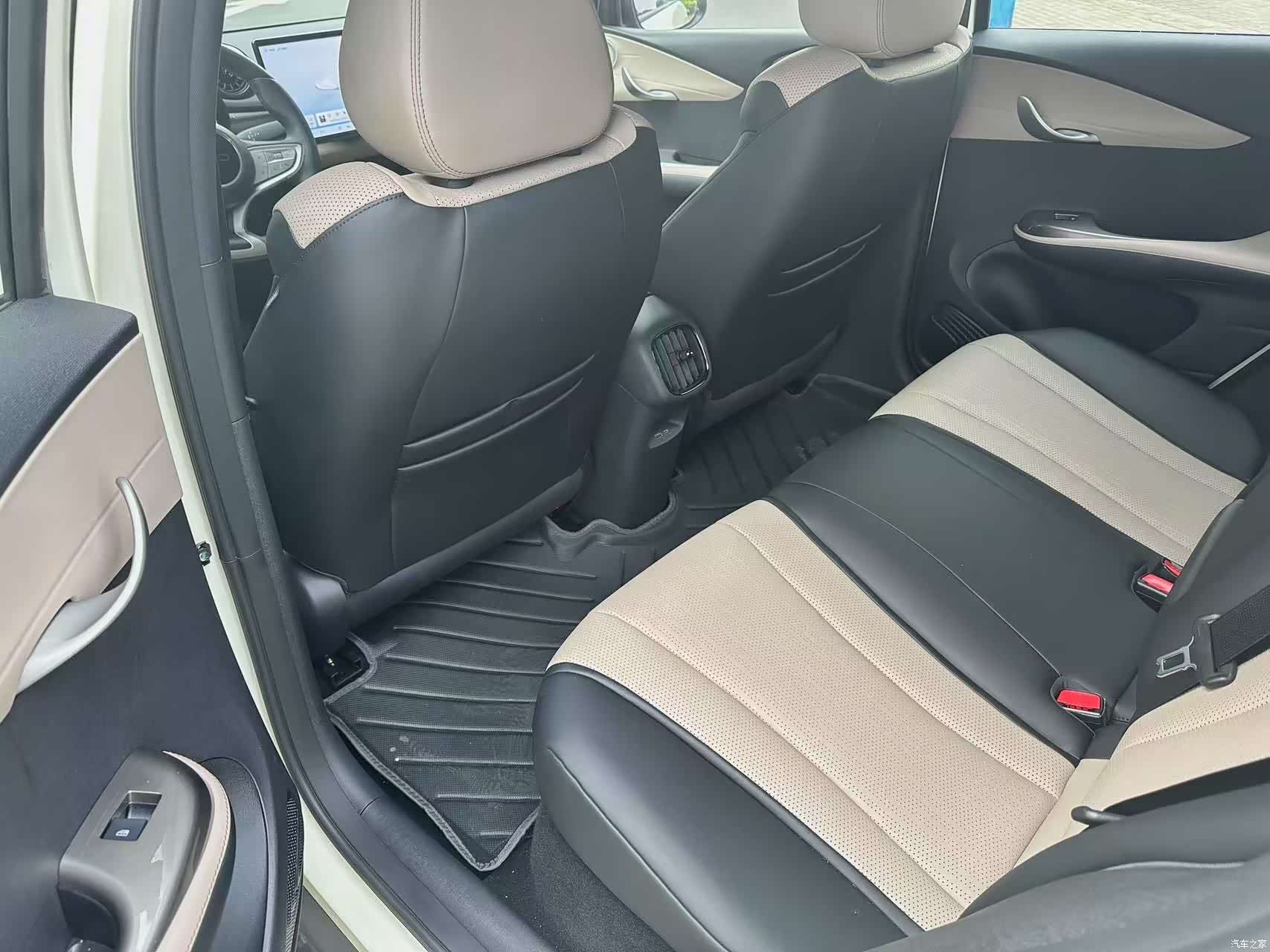 BYD Dolphin, 2025 11