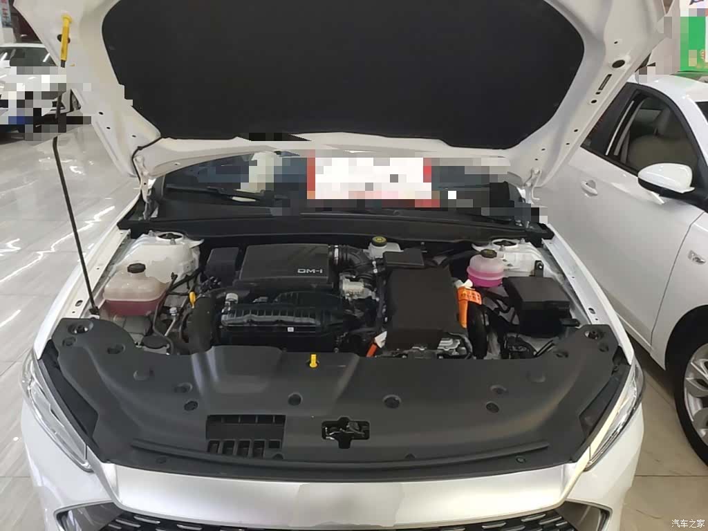BYD Qin, 2024 20