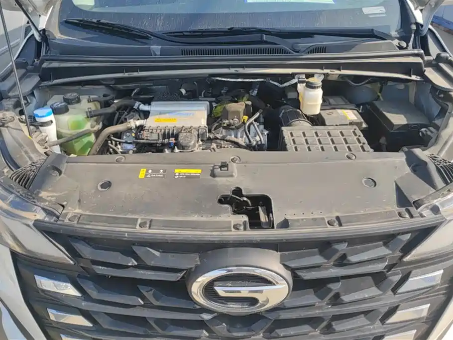 Trumpchi Trumpchi M6