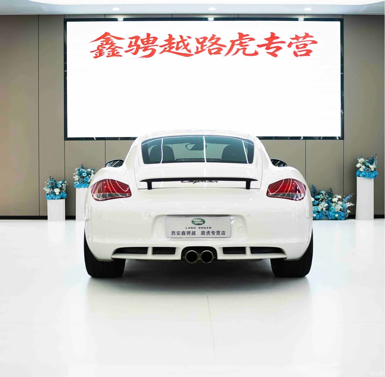 Porsche Cayman, 2012 все фото