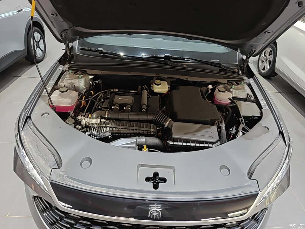BYD Qin, 2026 20
