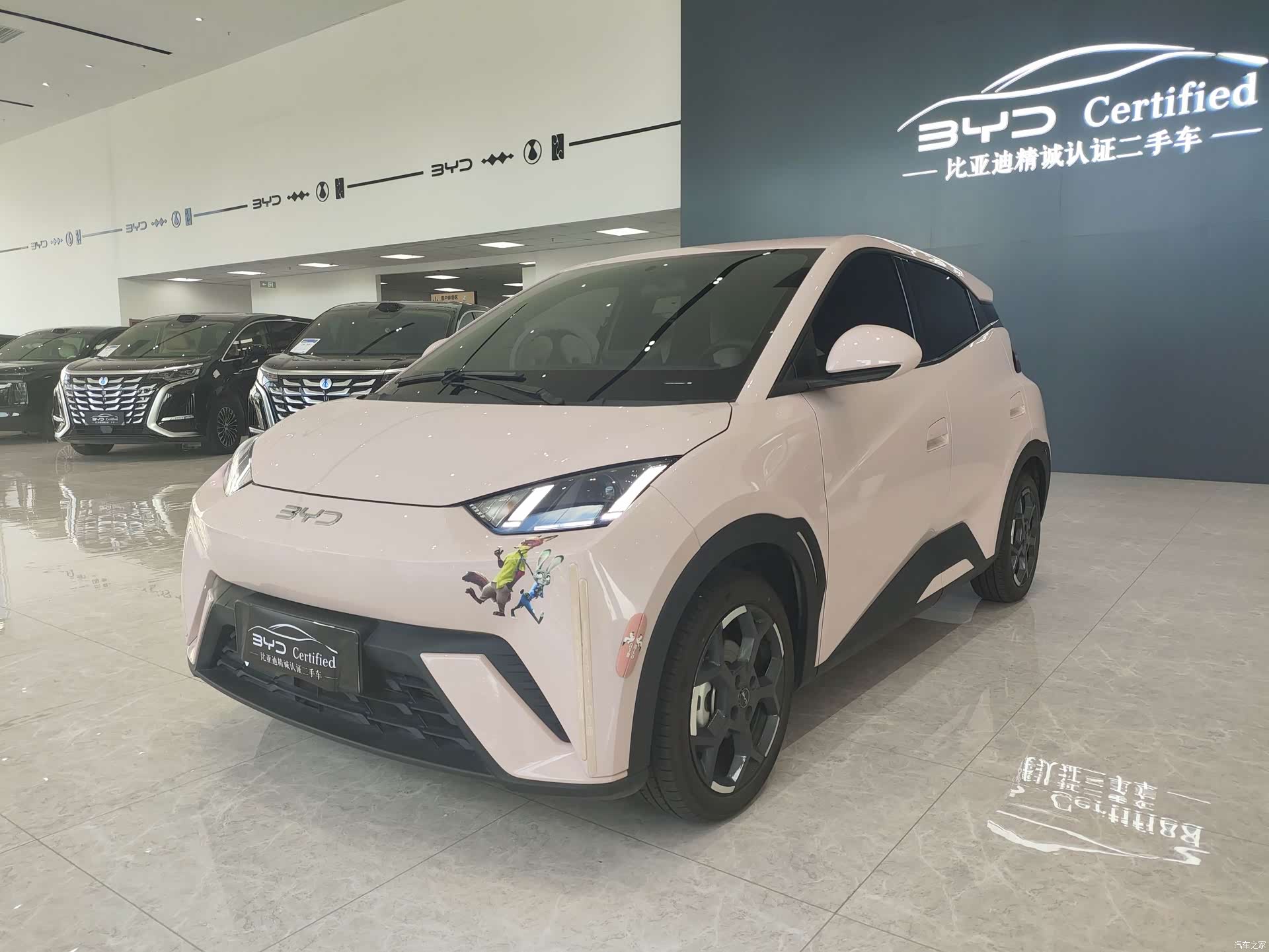 BYD Seagull, 2025 1