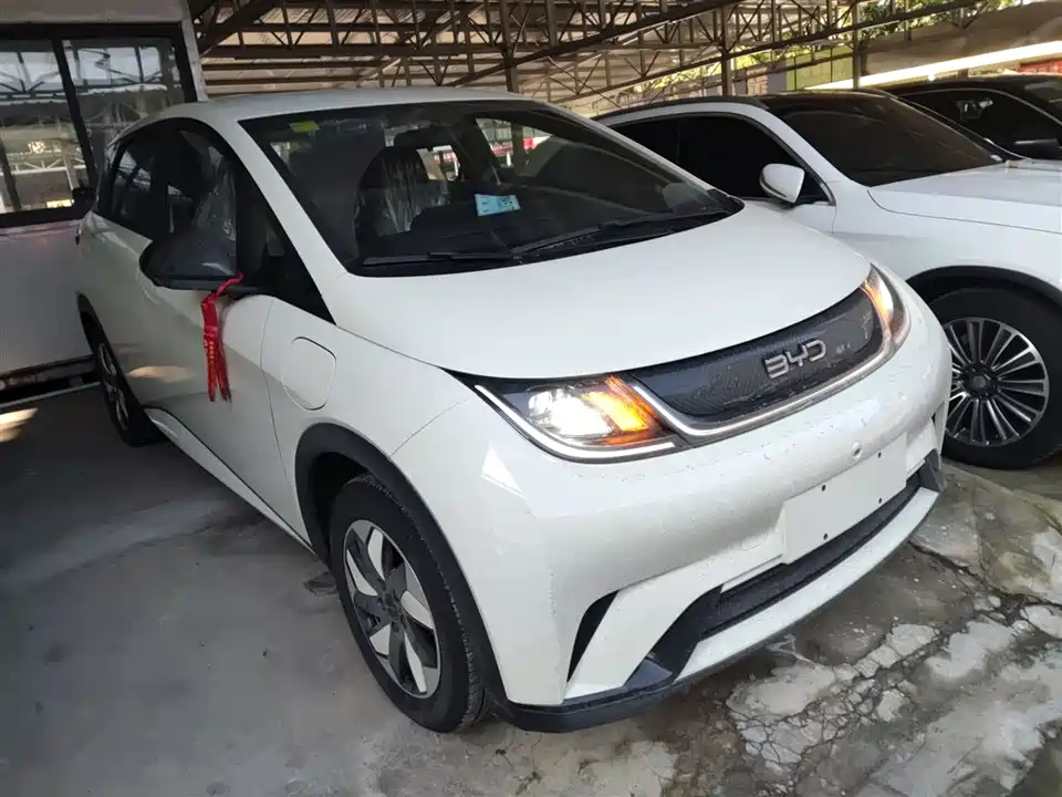 BYD dolphin