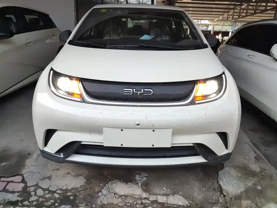 BYD dolphin