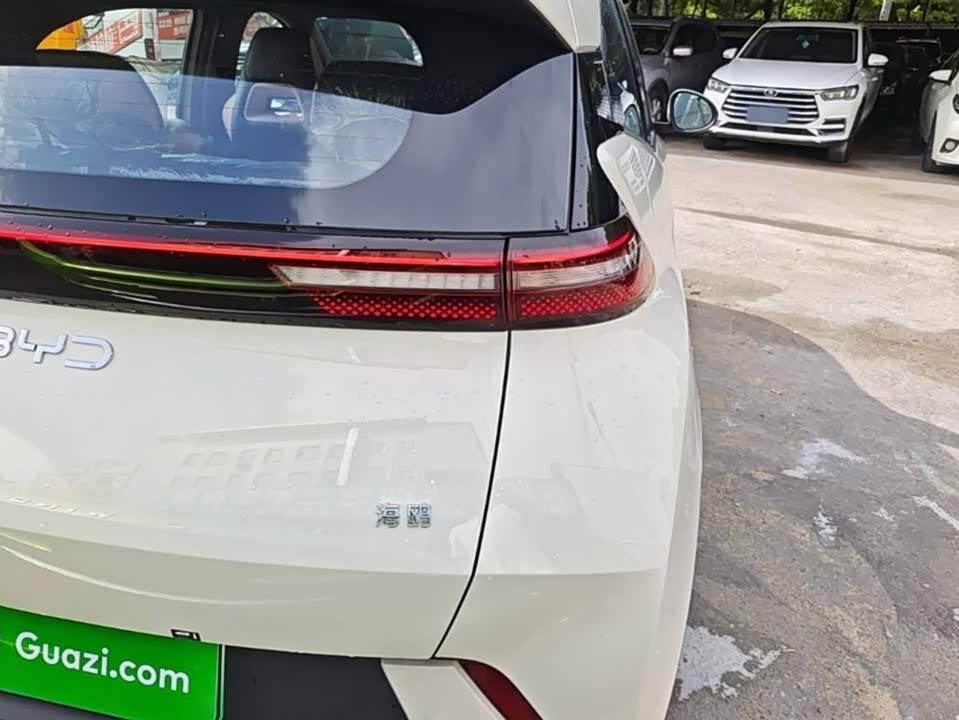 BYD Seagull