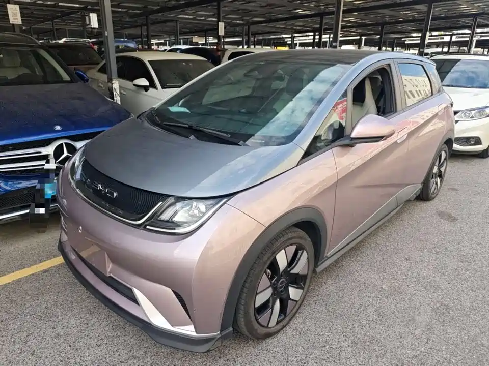 BYD dolphin