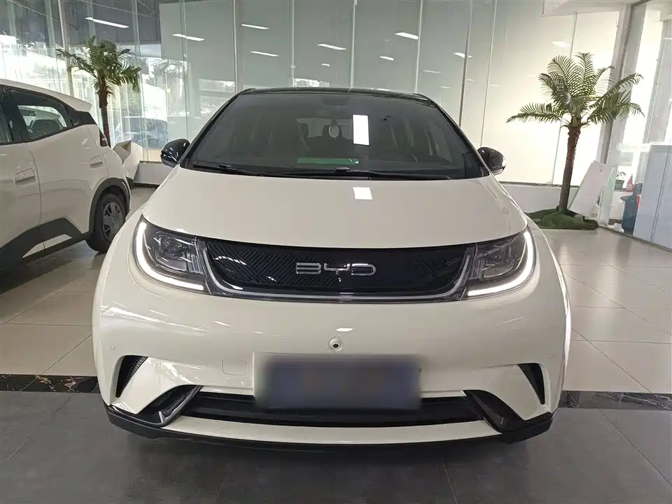 BYD dolphin