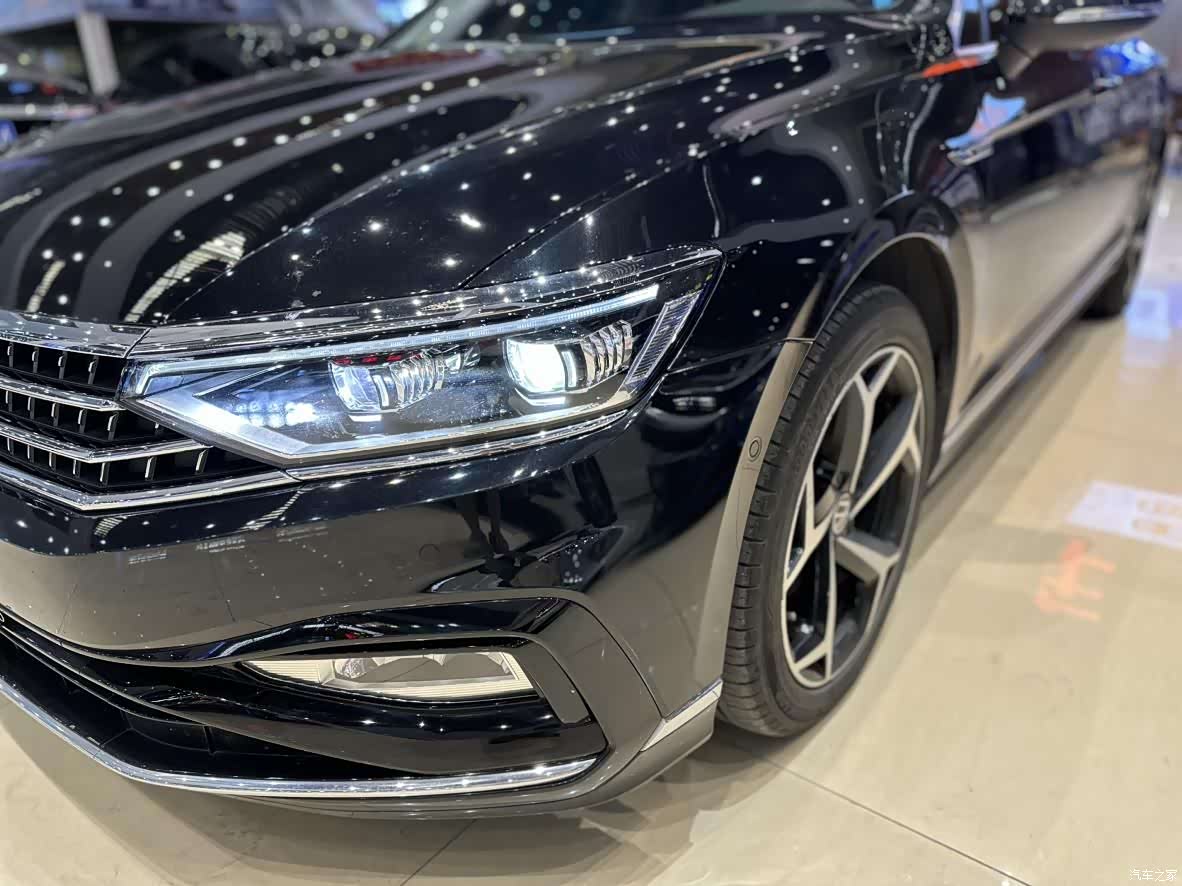 Volkswagen Magotan, 2024 4