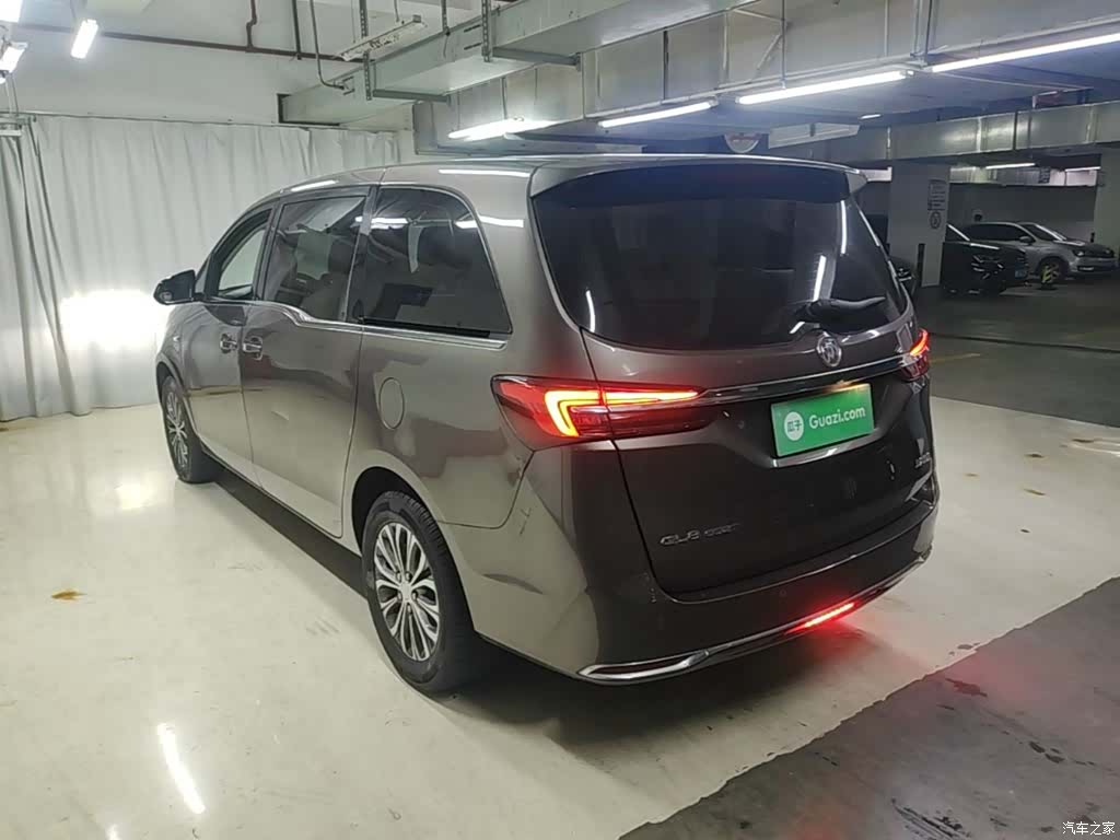 Buick GL8, 2022 все фото