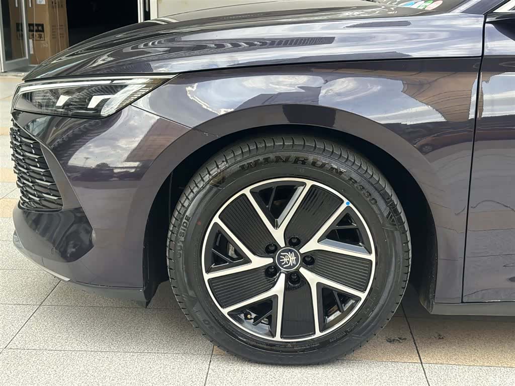 BYD Qin, 2024 все фото