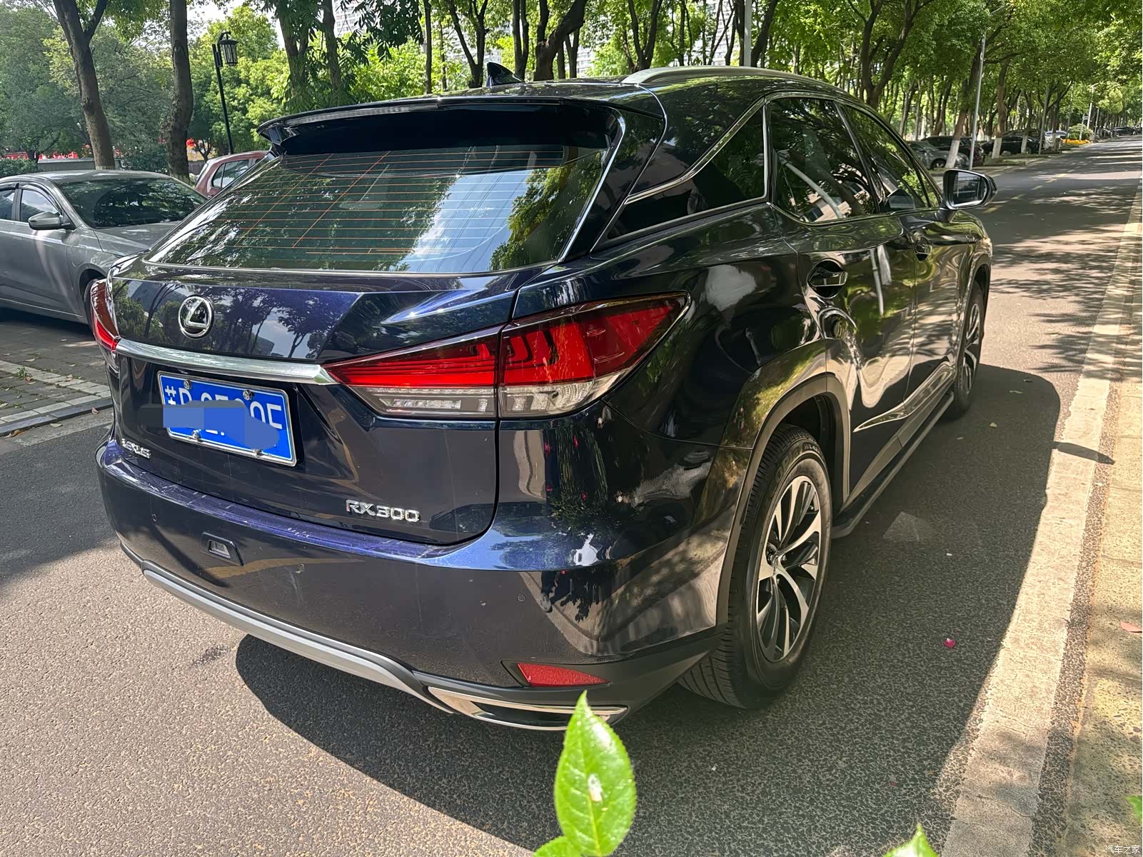 Lexus RX, 2021 6