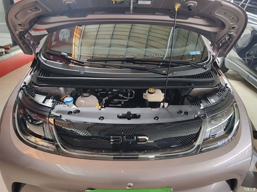BYD Dolphin, 2025 16