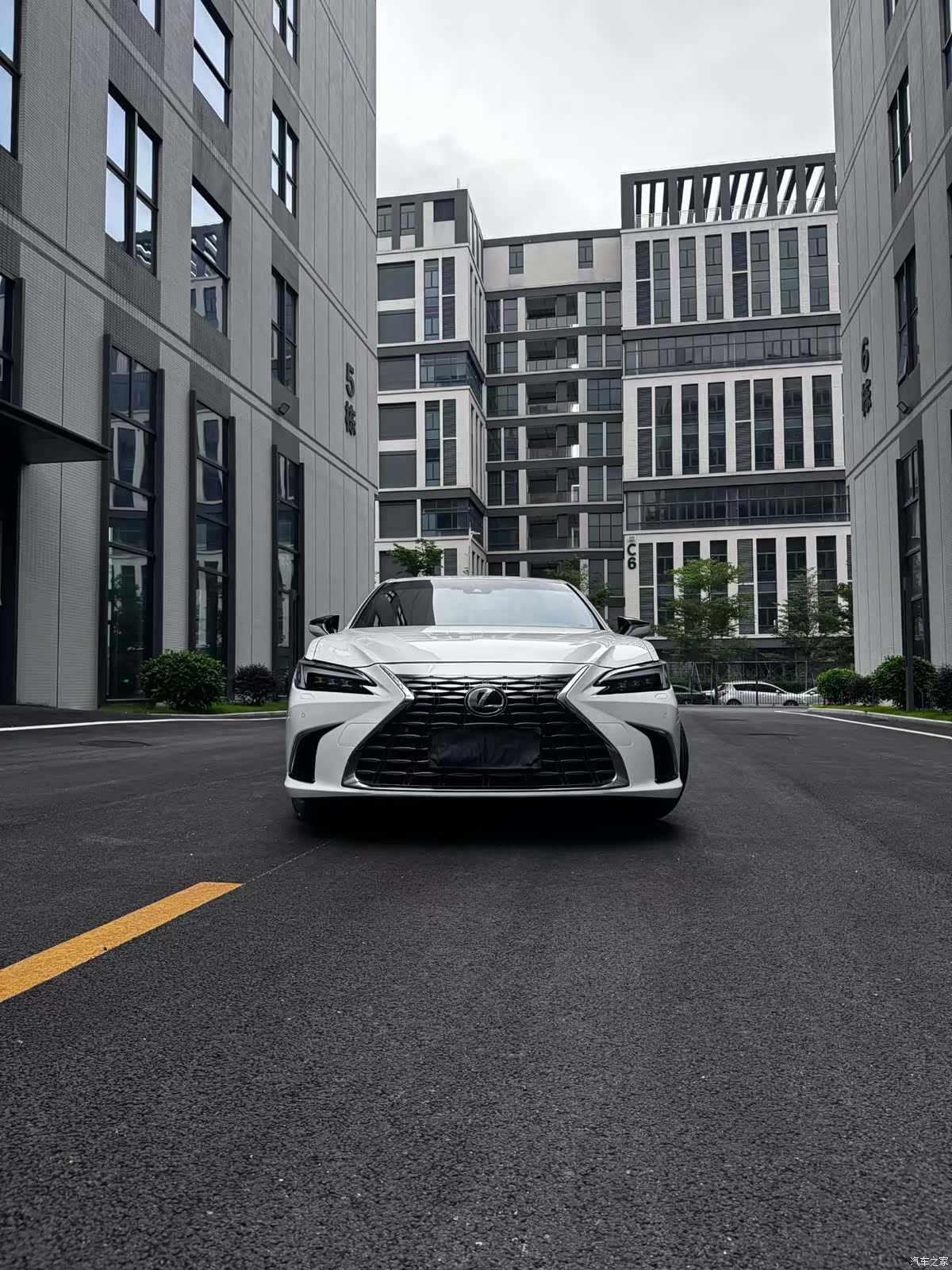 Lexus ES, 2025 2