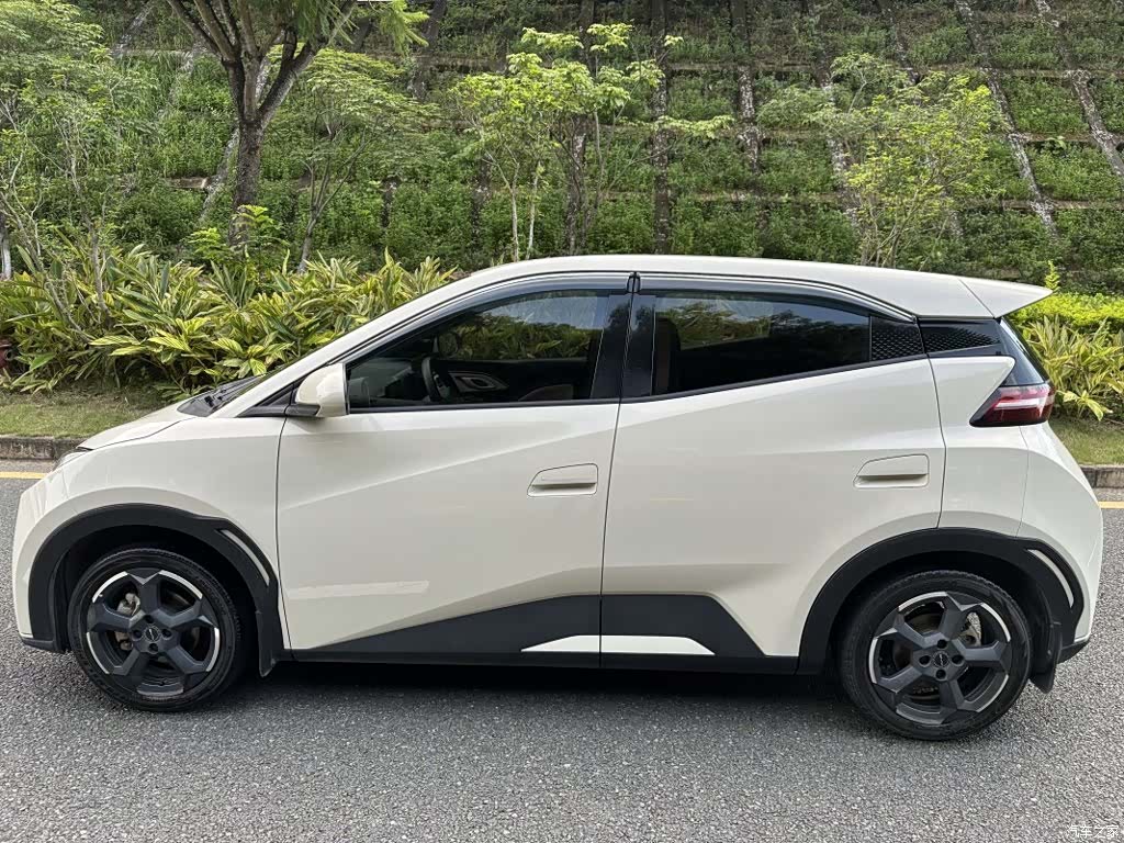 BYD Seagull, 2023 15