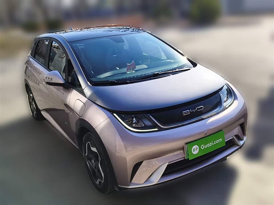 BYD dolphin
