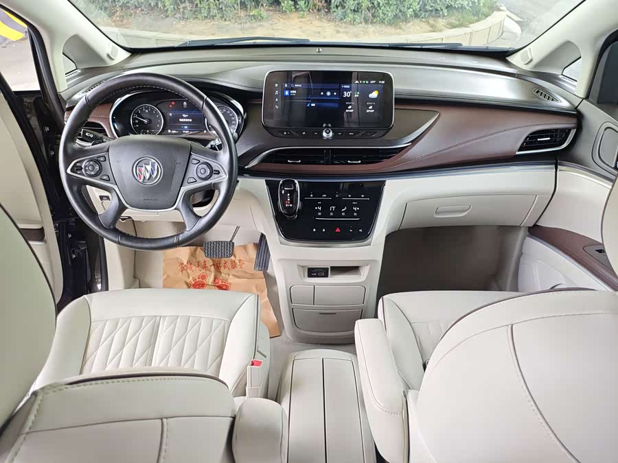 Buick GL8 2023, фото 10