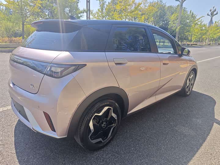 BYD Dolphin 2021 405km zi you ban