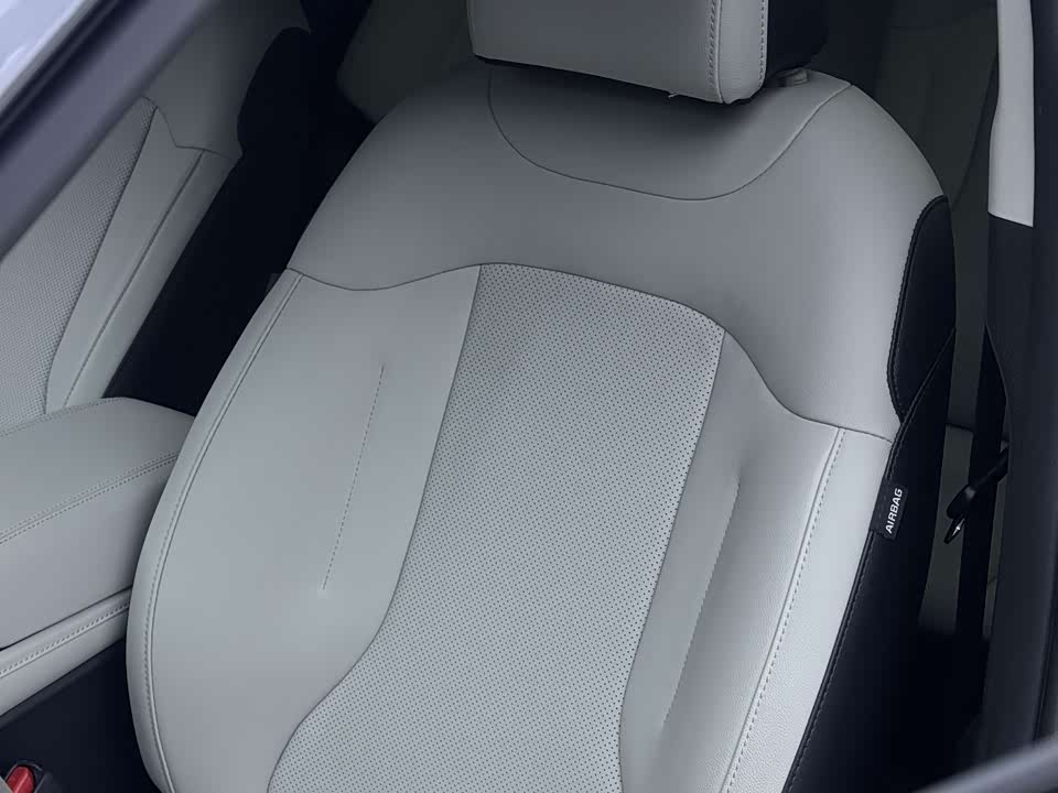 Kia Lion Platinum expands the world