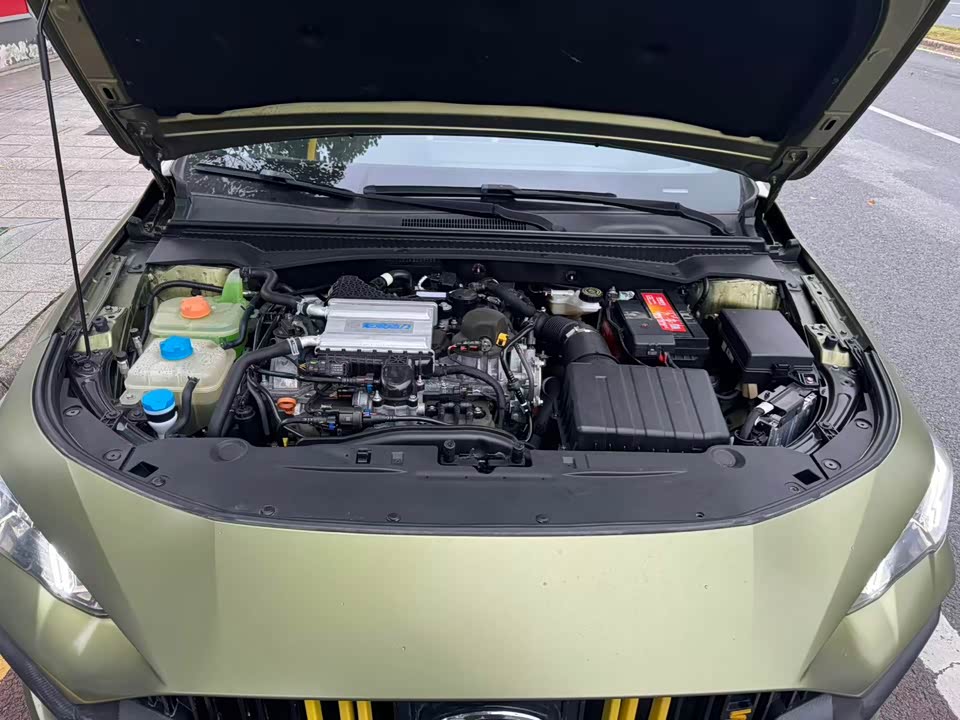 Trumpchi Shadow Leopard