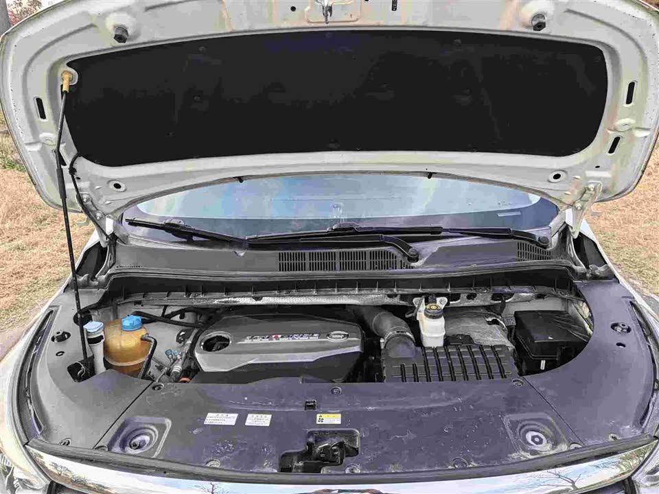 Trumpchi Trumpchi M8