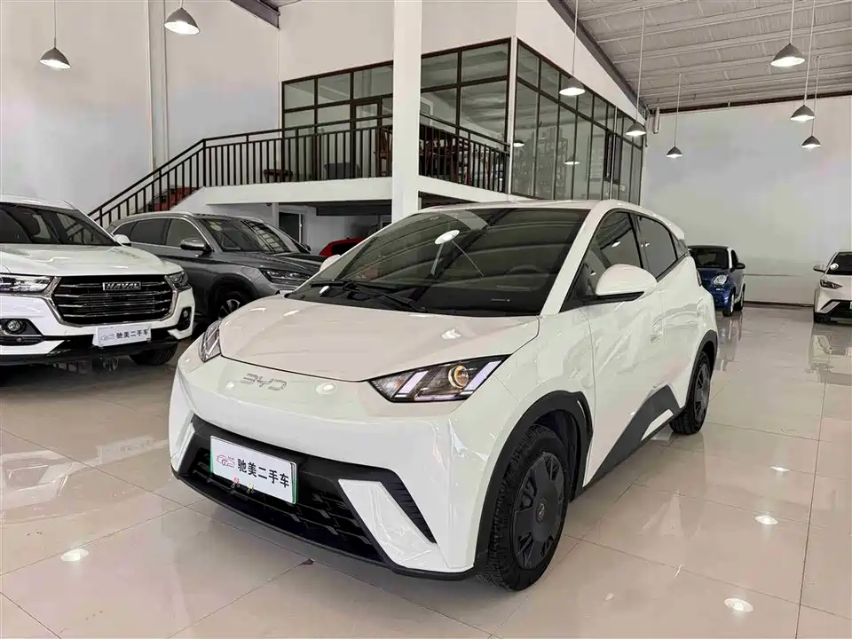 BYD Seagull