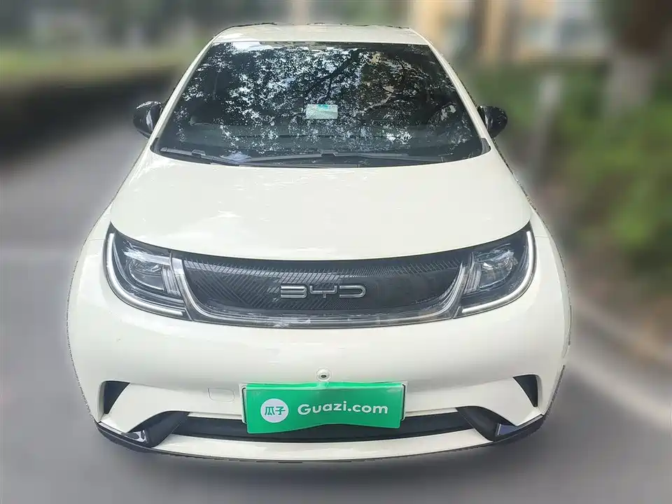 BYD dolphin