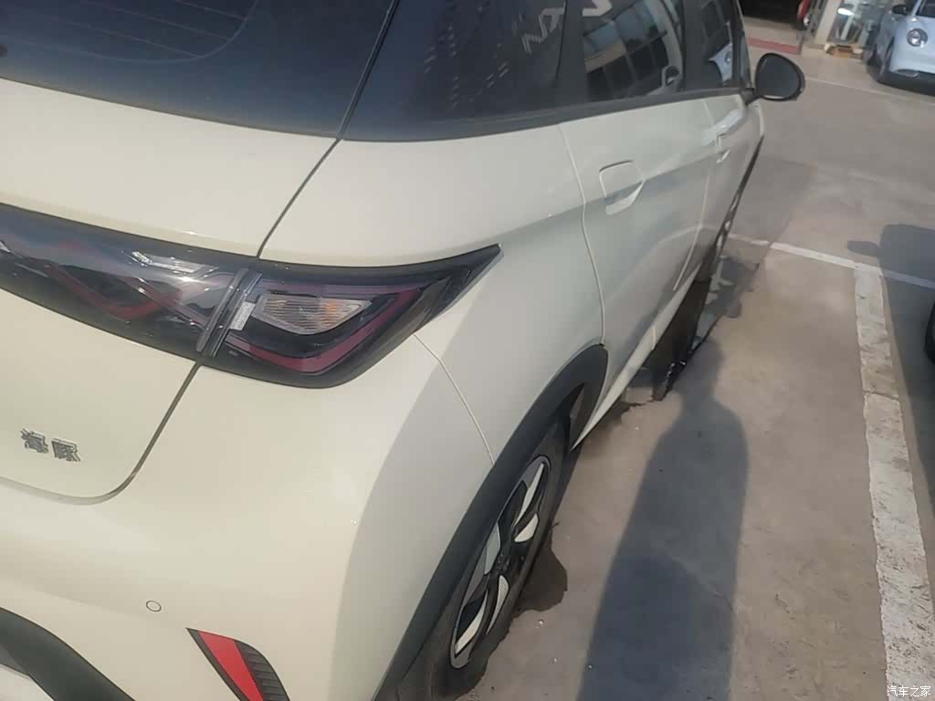 BYD Dolphin, 2024 24