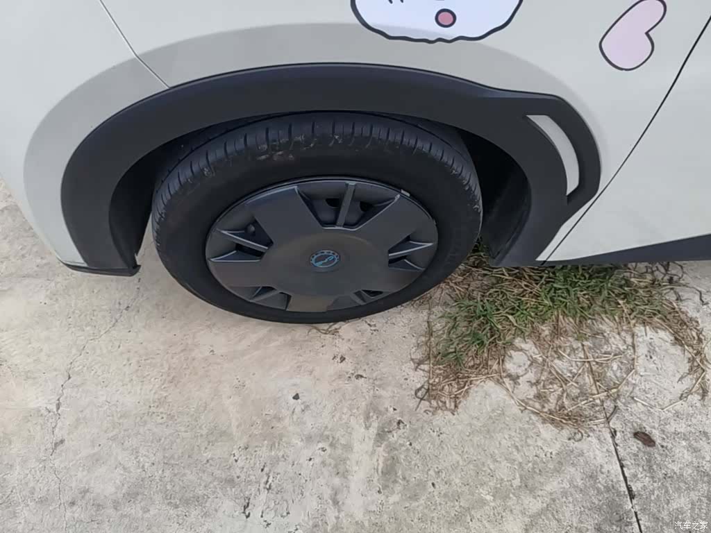 BYD Seagull, 2024 23