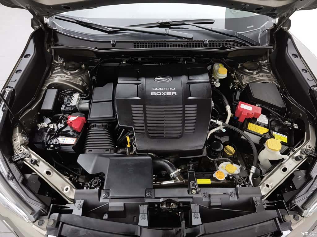 Subaru Forester, 2019 6