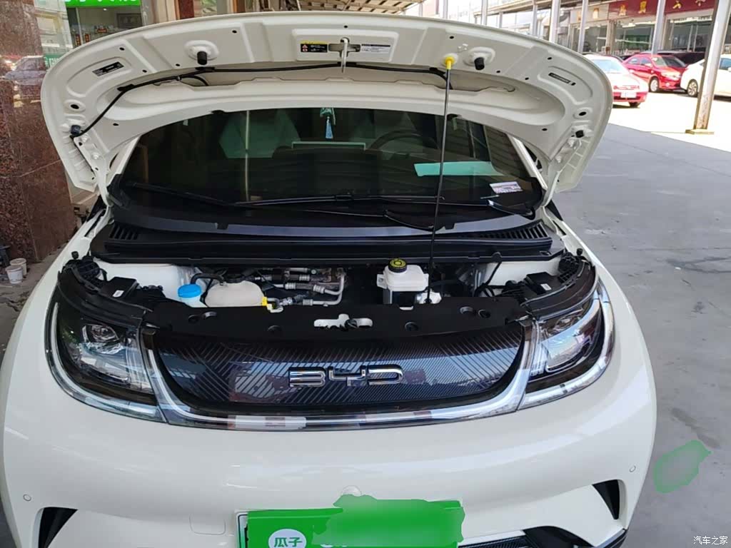BYD Dolphin, 2024 20