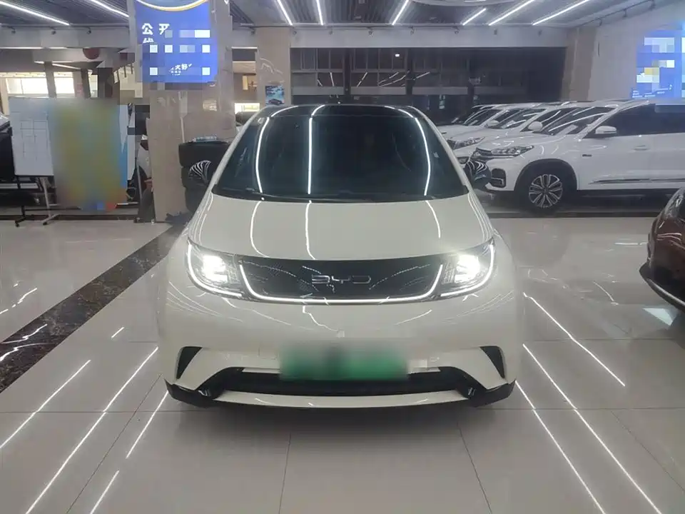 BYD dolphin